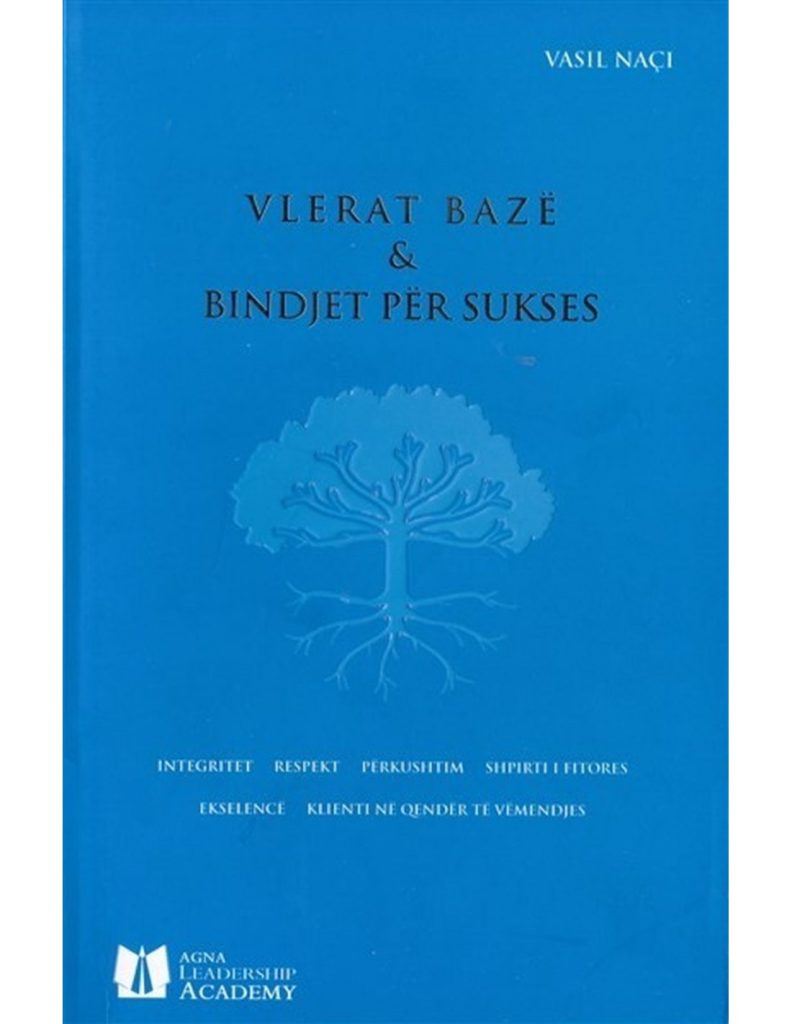 Vlerat Baze Dhe Bindjet Per Sukses