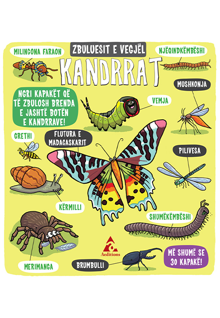 Zbuluesit e vegjël: Kandrrat