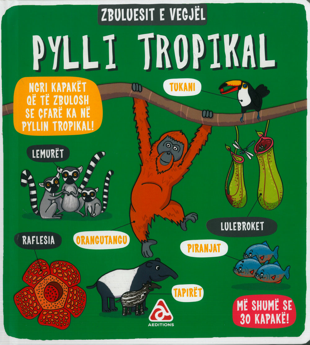 Zbuluesitt e vegjël: Pylli tropikal