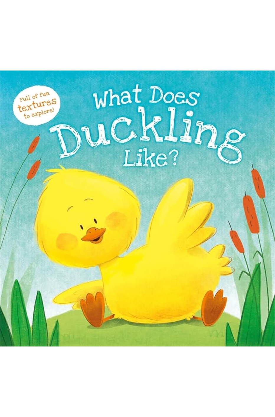 What Does Duckling Like? Hardcover