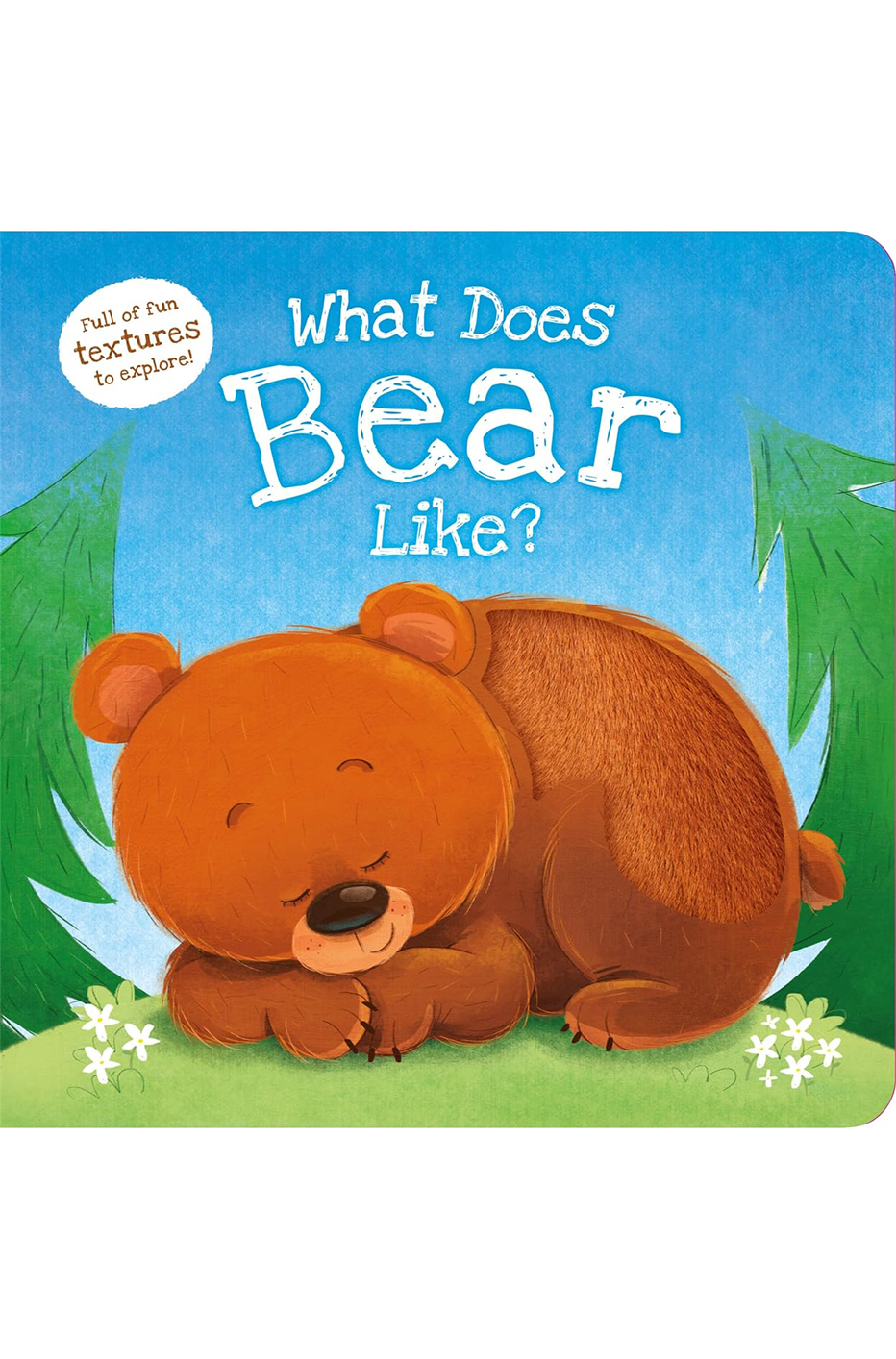 What Does Bear Like? Hardcover