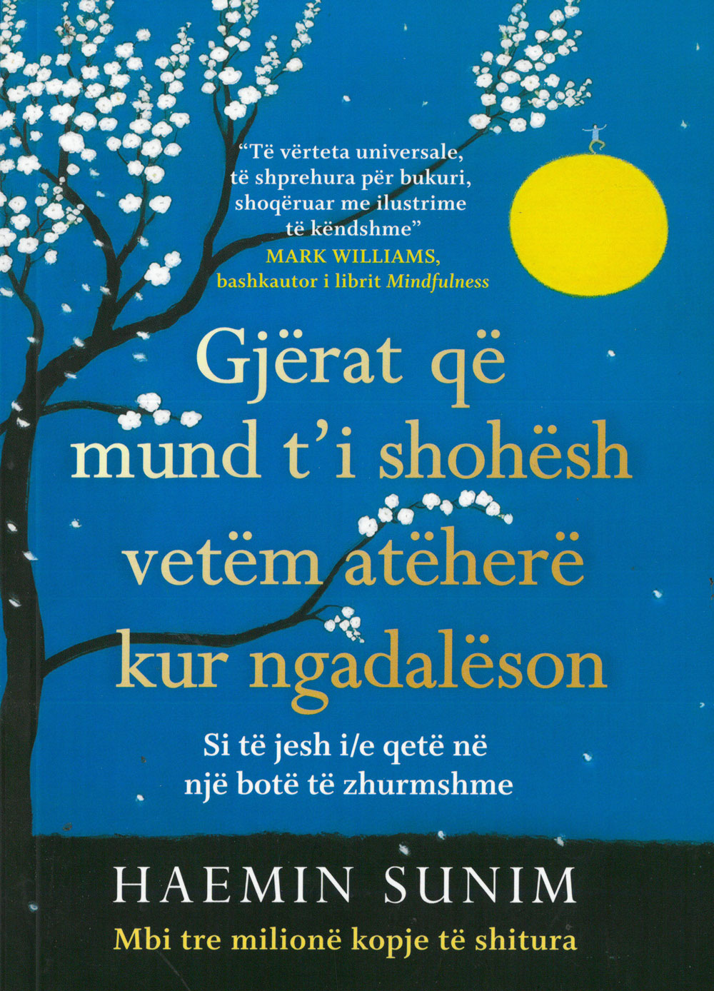 Gjërat që mund t'i shohësh vetëm atëherë kur ngadalëson