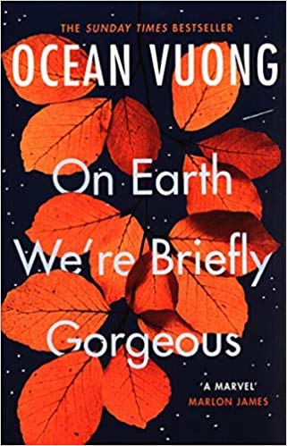 On Earth We'Re Briefly Gorgeous