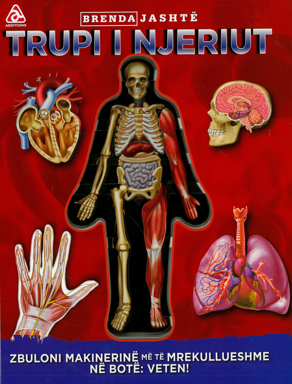 Brënda jashtë: Trupi i njeriut